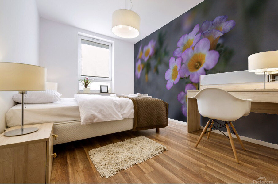 Desert flower Mural print