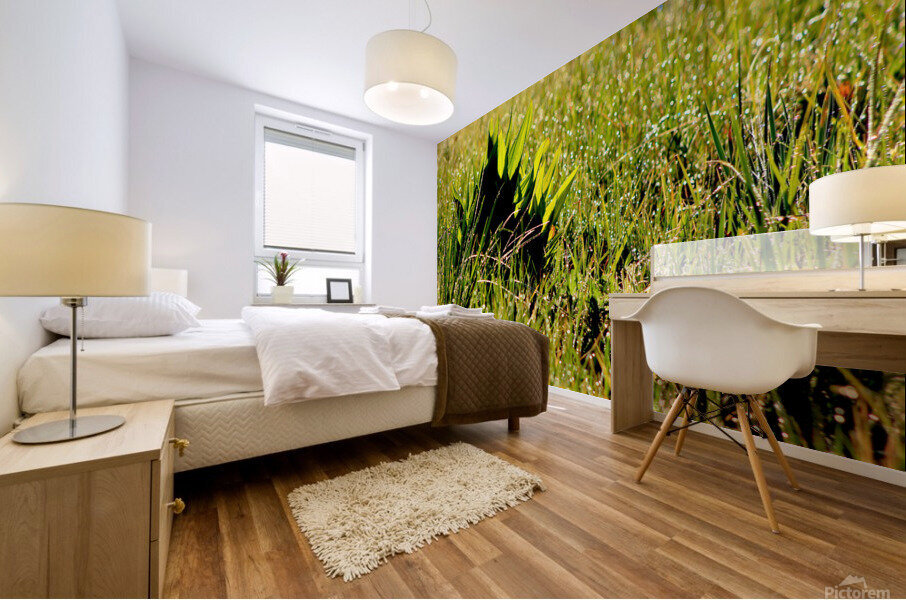 Dew Drop n Mural print