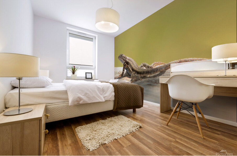 lizard Mural print