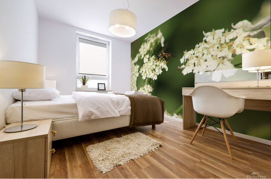 BeeWhiteFlower Mural print