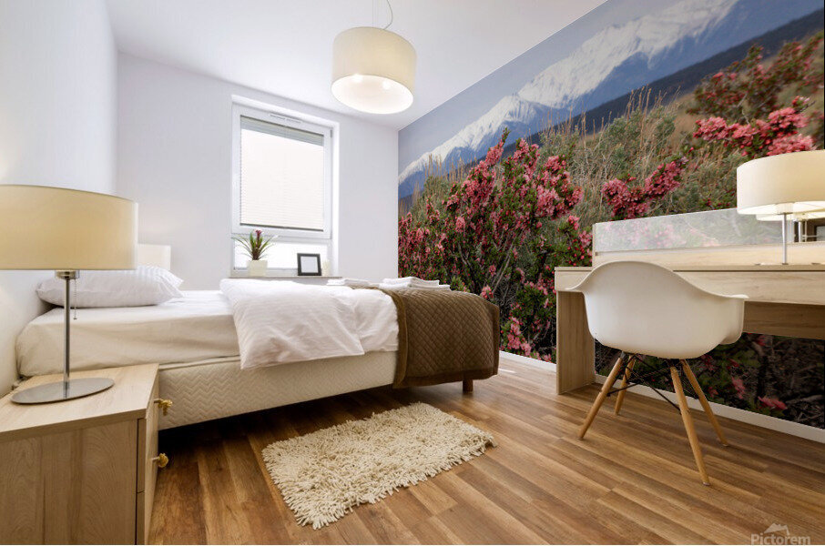 DesertPeachWhitesSnow Mural print