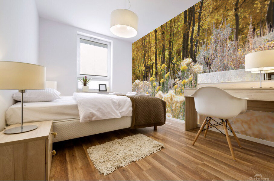 Fall Colors Mural print