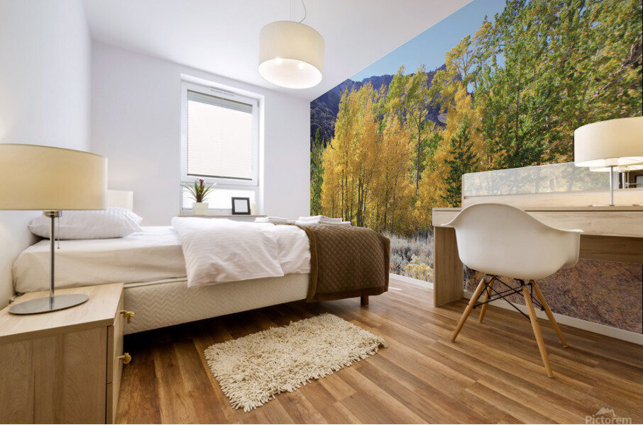 Fall Color Mural print
