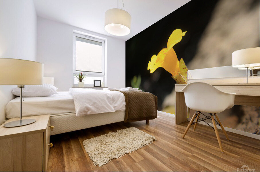 Monkey Flower Yellow Mural print