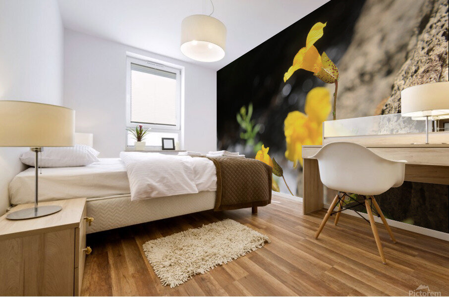 Monkey Flower Mural print