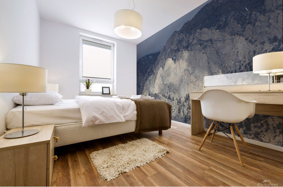 Wheeler Crest Granite Mural print