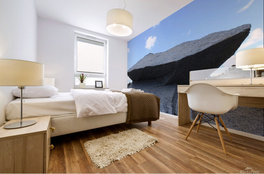 Erratic Rock Boulder Mural print