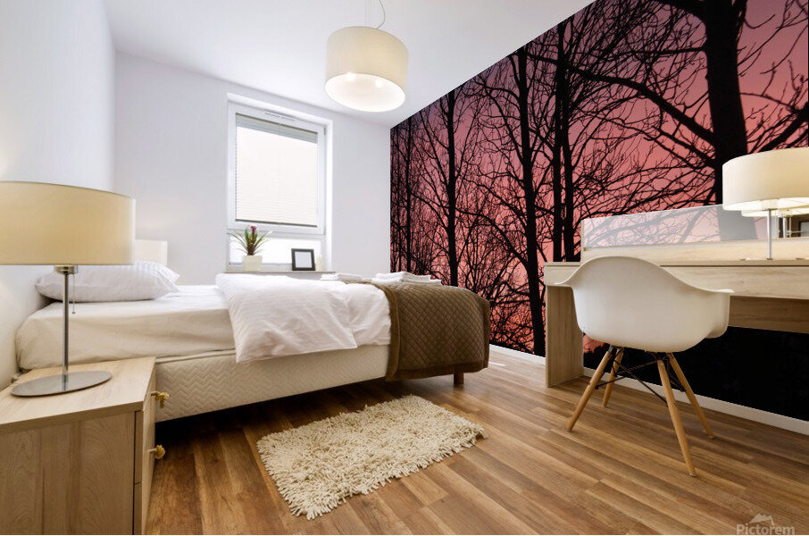 Tree Silhouette Sunset Mural print