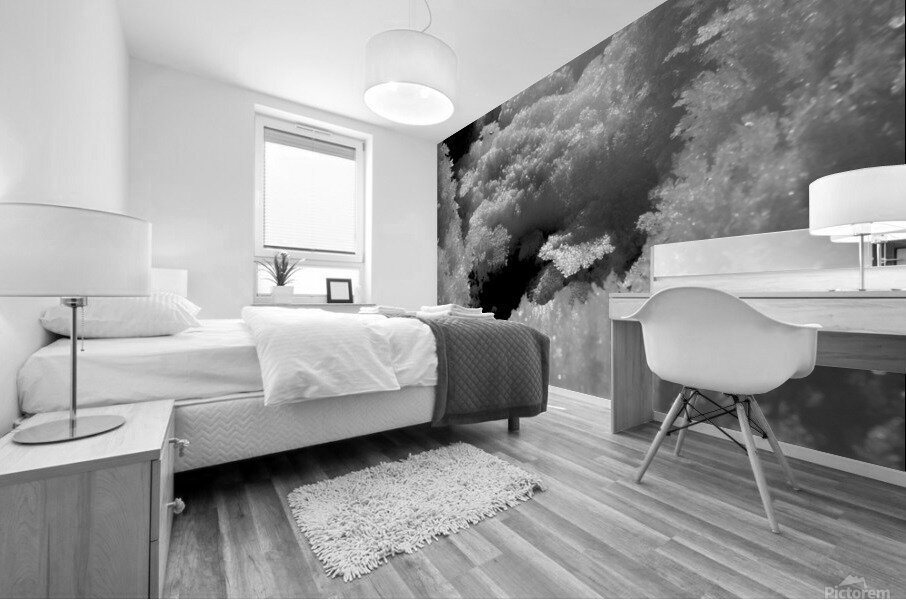 Snow Crystal Mural print