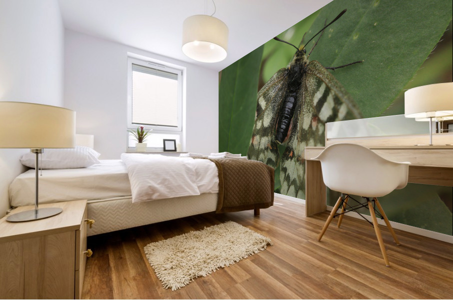 Wallpaper Photography Mural print