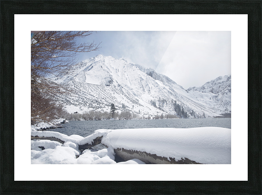 ConvictWinter Picture Frame print