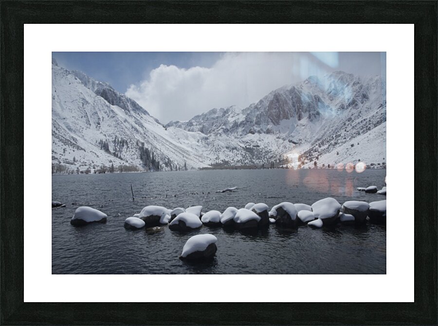 Convictroadkill Picture Frame print