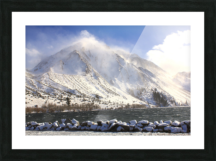 ConvictMorrisonwinter Picture Frame print