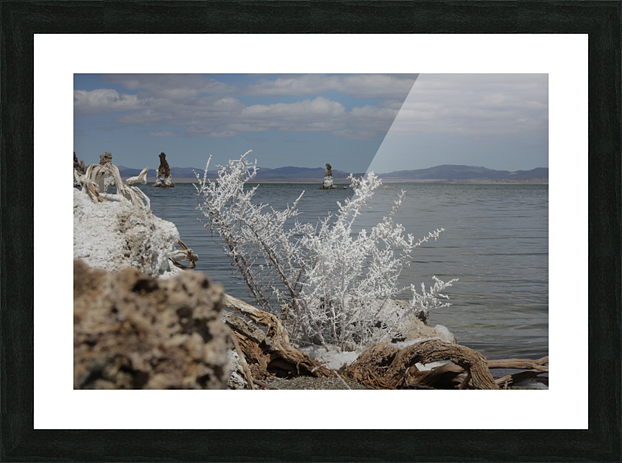 MonoLakeWhiteBrush Picture Frame print