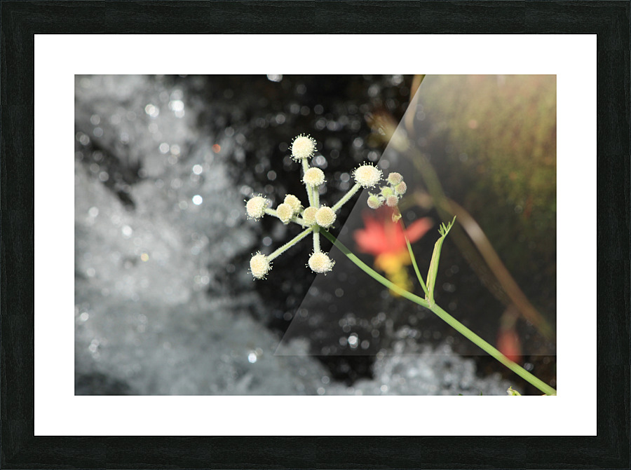 Ranger Button Picture Frame print