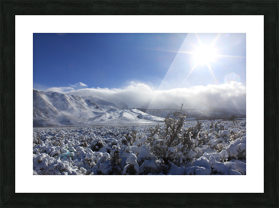 snowsunsage Picture Frame print