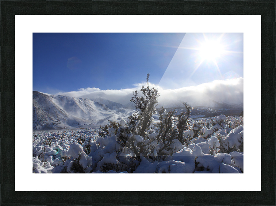 sagesnow Picture Frame print