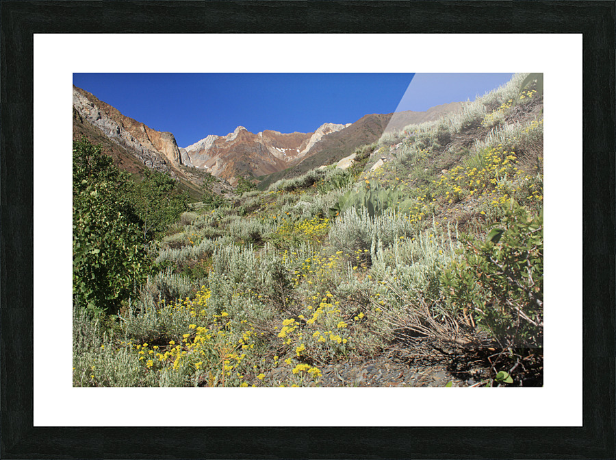McGee Canyon Picture Frame print