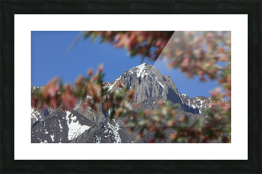Mt. Morrison  Picture Frame print