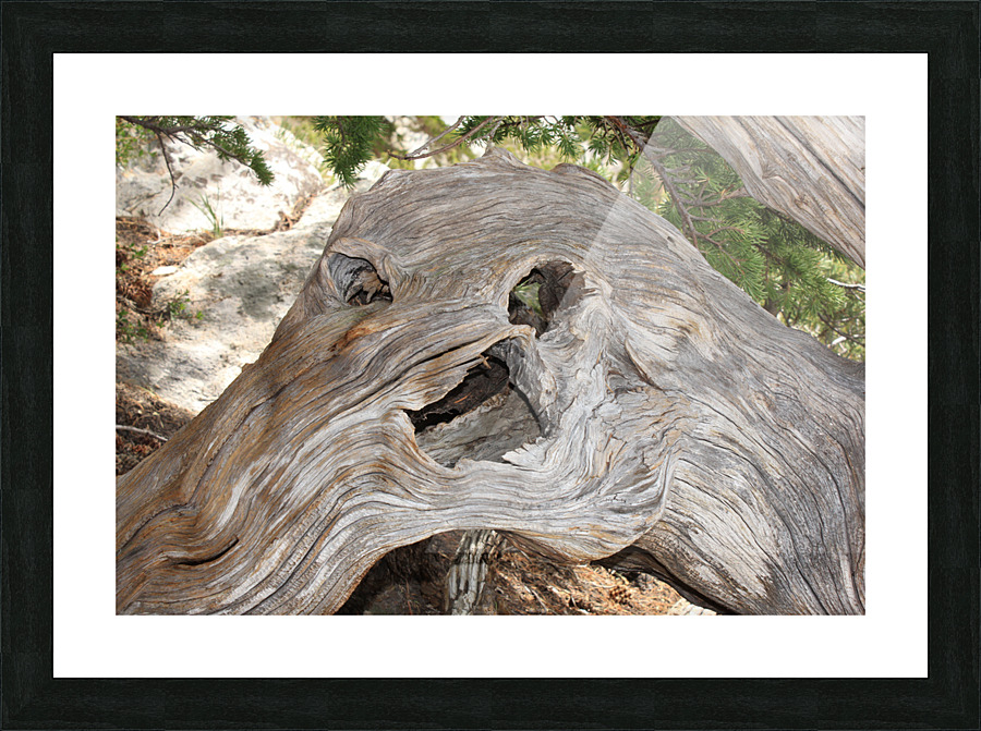 Dead Tree Monster Picture Frame print