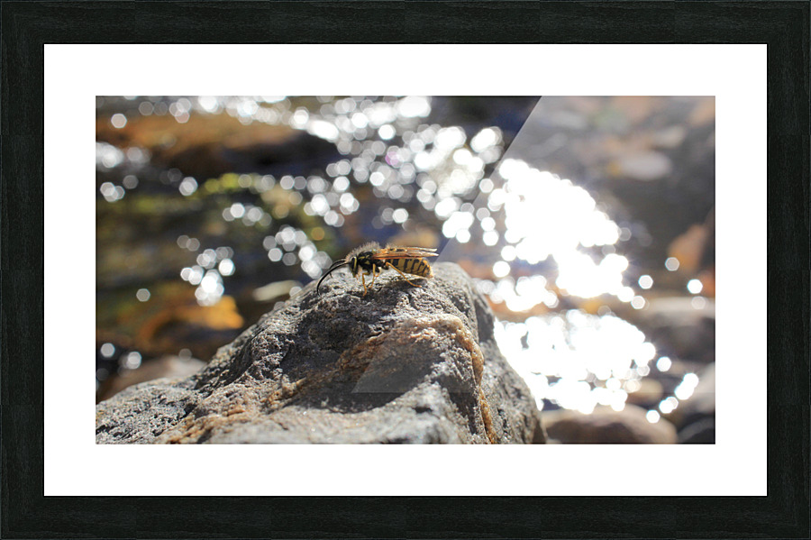 Bee Glitter Picture Frame print