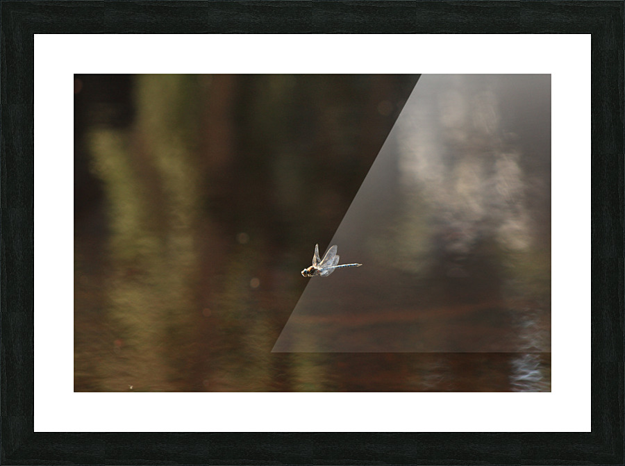 Damsel1 Picture Frame print