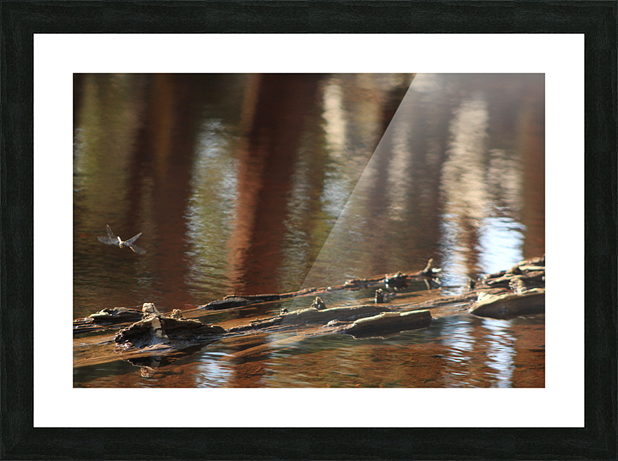 Damsel2 Picture Frame print