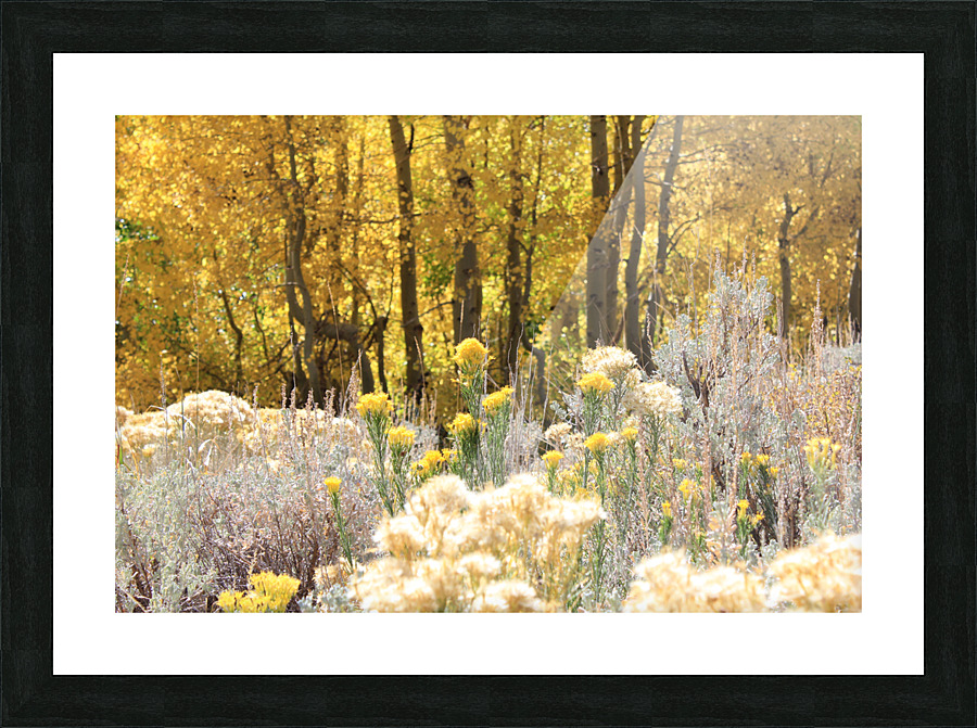 Fall Colors Picture Frame print