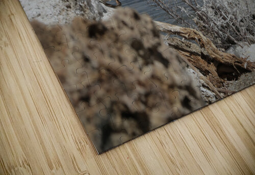 MonoLakeWhiteBrush Dan McConnell puzzle