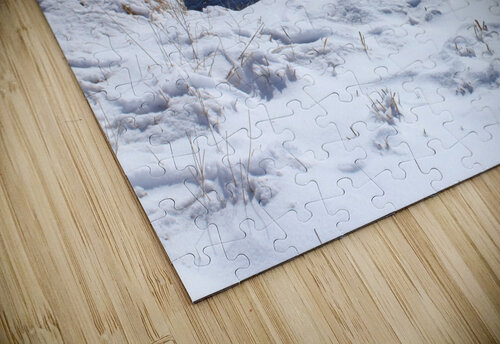 OwensRiverSnow Dan McConnell puzzle