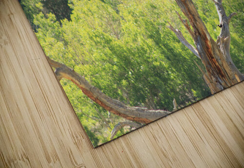 Golden Eagle Dan McConnell puzzle