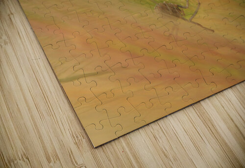 Spider Grass  Dan McConnell puzzle