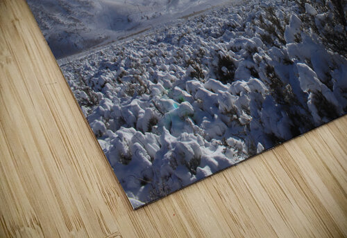 snowsunsage Dan McConnell puzzle