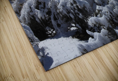 sagesnowmorrison Dan McConnell puzzle