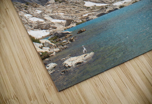 seagullakeconess 2 Dan McConnell puzzle