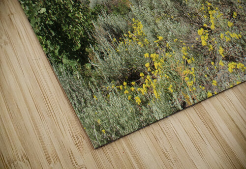 McGee Canyon Dan McConnell puzzle