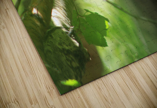 Humbirdnest Dan McConnell puzzle