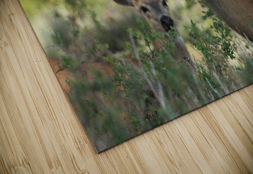 Deer  Bucks Dan McConnell puzzle