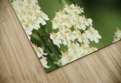 BeeWhiteFlower Dan McConnell puzzle