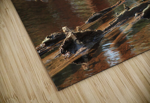 Damsel2 Dan McConnell puzzle