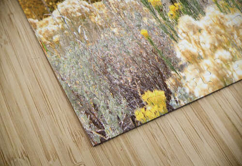 Fall Colors Dan McConnell puzzle