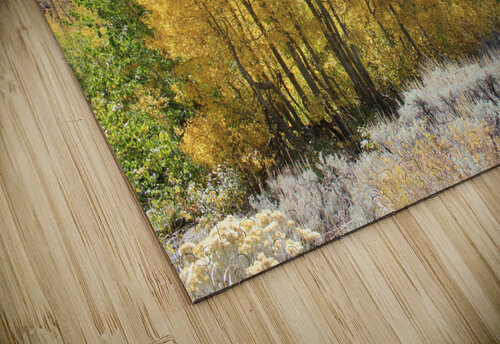 Fall Color Dan McConnell puzzle