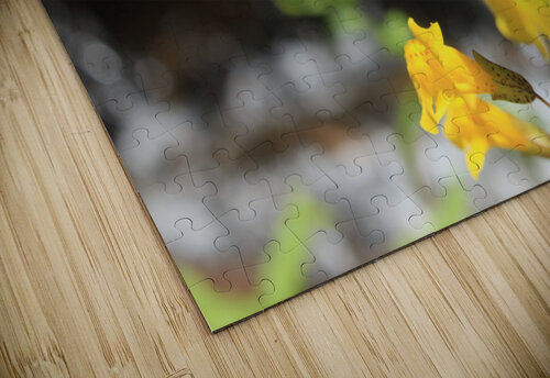 Monkey Flower Dan McConnell puzzle