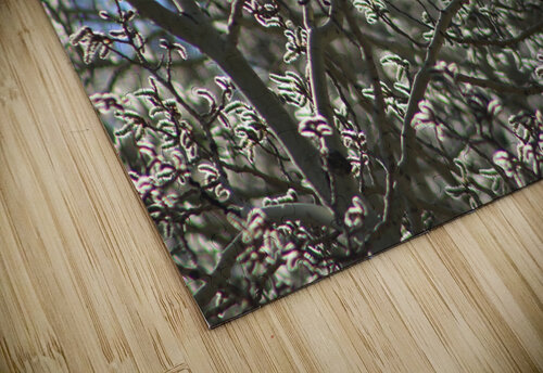Aspen Trees Glowing Dan McConnell puzzle