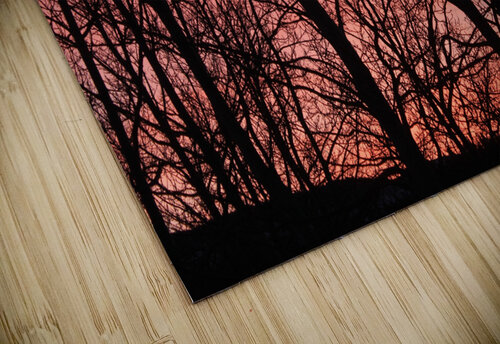 Tree Silhouette Sunset Dan McConnell puzzle