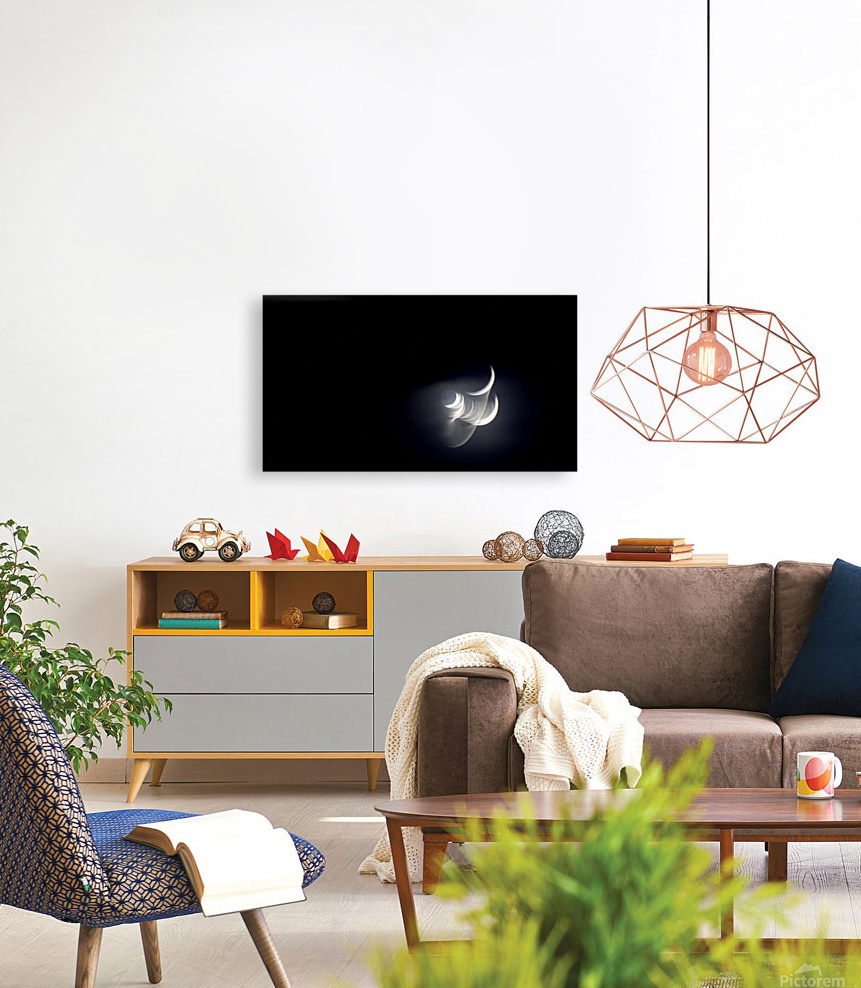 Moon Crescent Reproduction