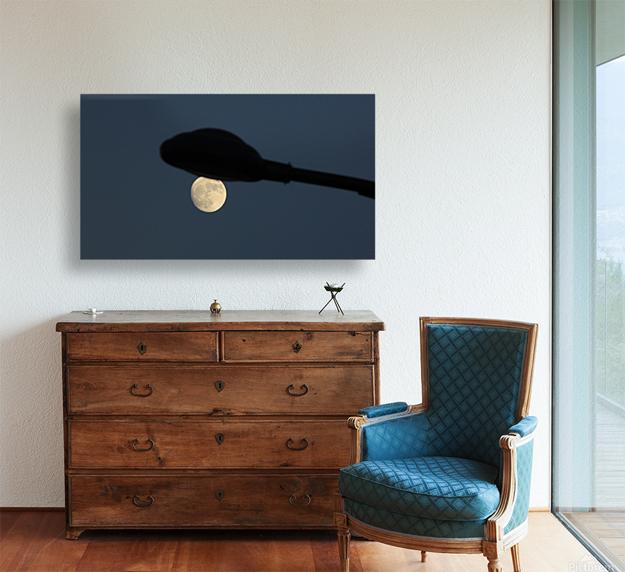 Moonlight Reproduction