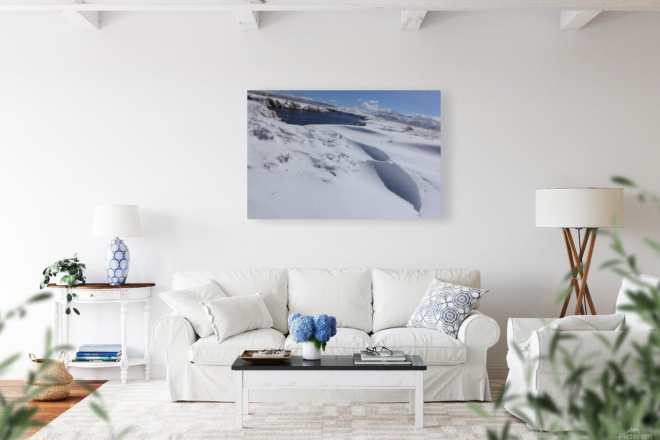 owenssnowdrift Reproduction