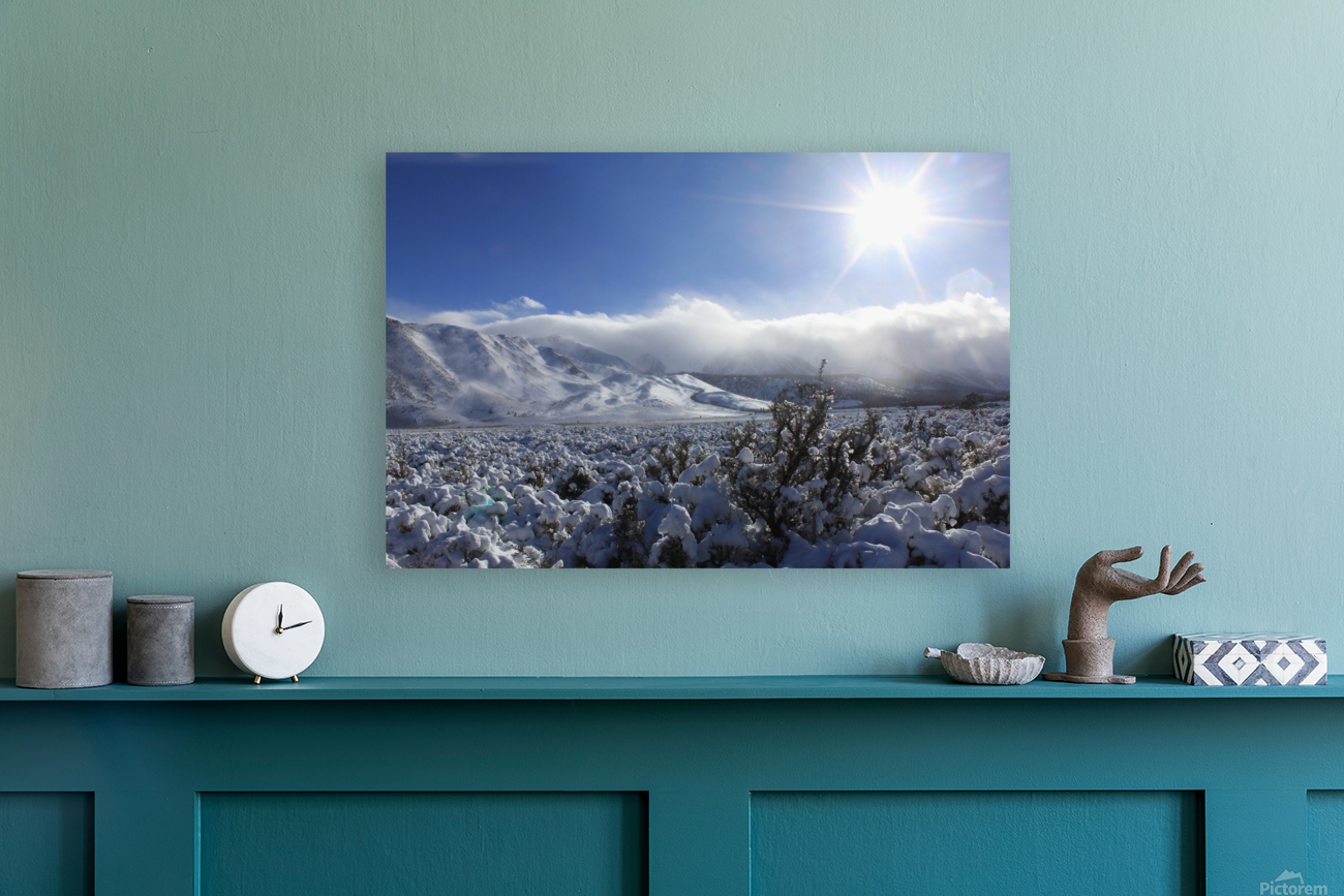 snowsunsage Reproduction