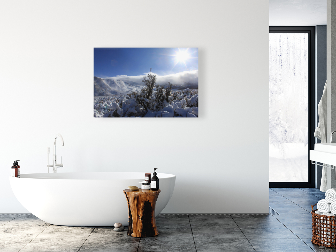 sagesnow Reproduction